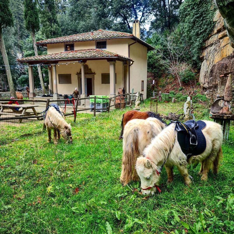 Agriturismo Fattoria Di Maiano Фиезоле Екстериор снимка