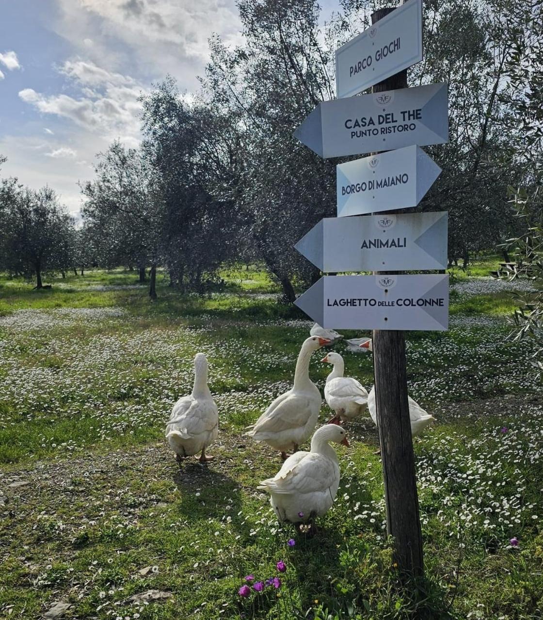 Agriturismo Fattoria Di Maiano Фиезоле Екстериор снимка