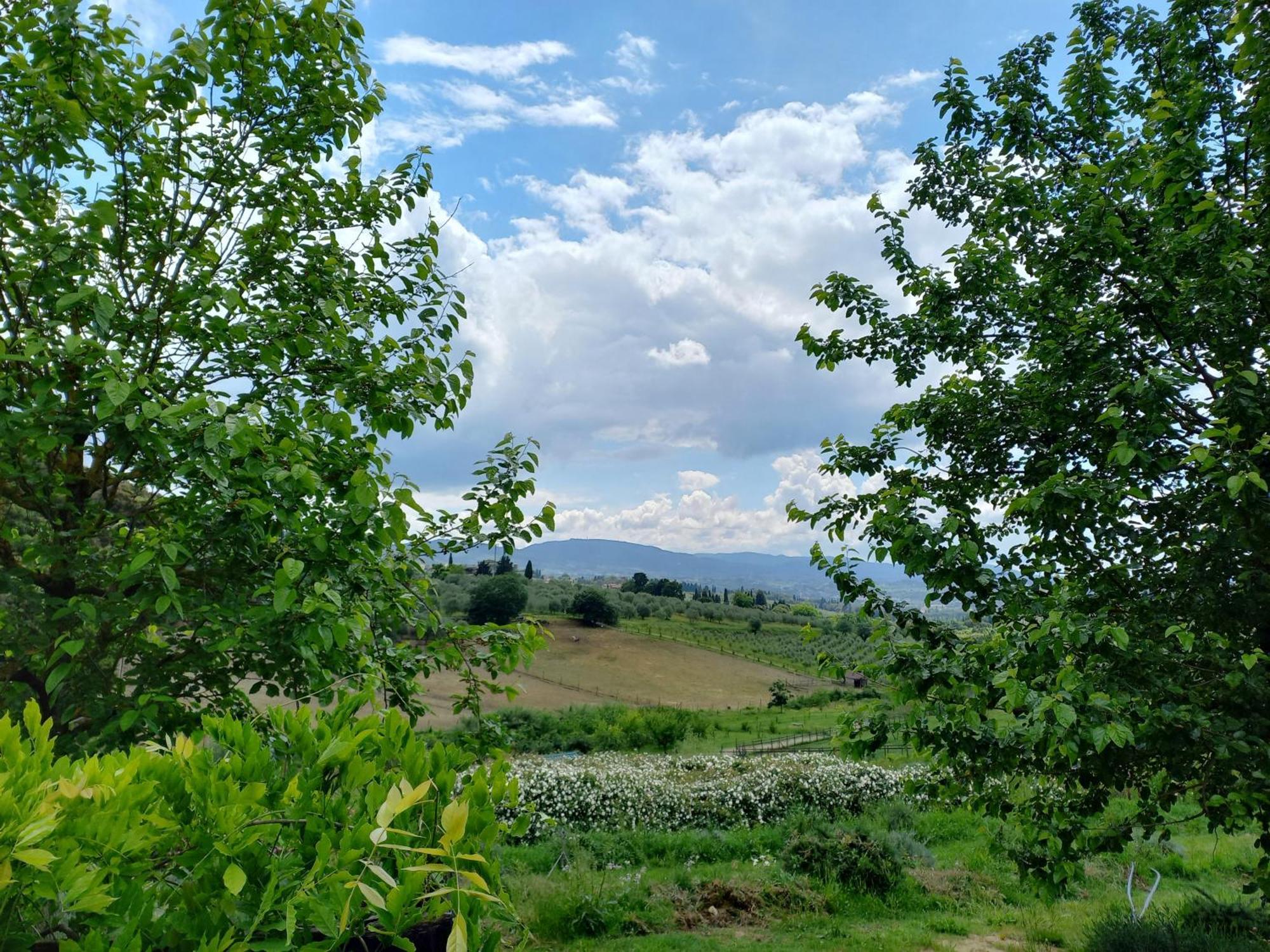 Agriturismo Fattoria Di Maiano Фиезоле Екстериор снимка